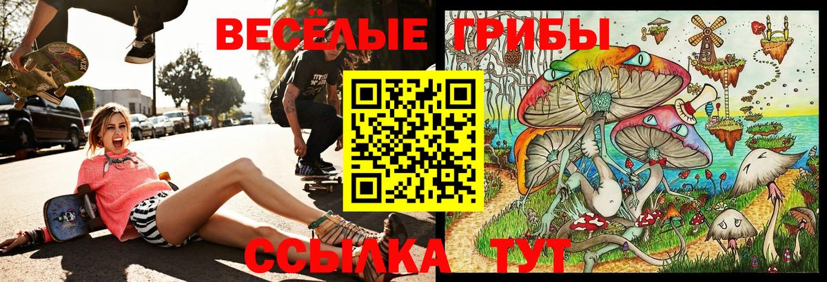 Псилоцибиновые грибы Cubensis Кизилюрт