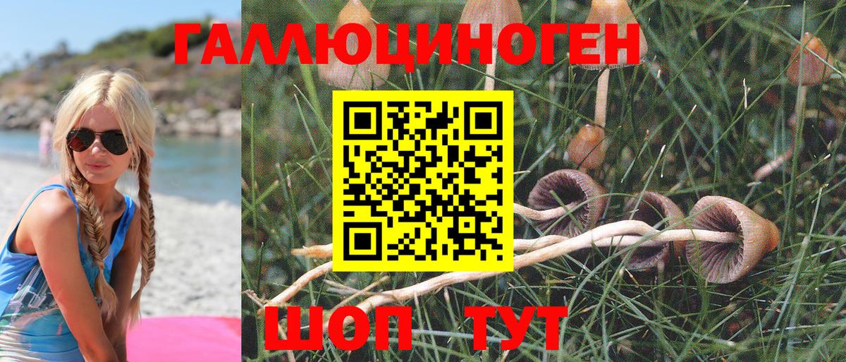 Псилоцибиновые грибы MAGIC MUSHROOMS  Вход с VPN  Галлюциногенные грибы ЛСД  Кизилюрт 